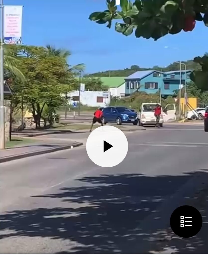 Video St Maarten Two individuals Throwing Rocks at Each other