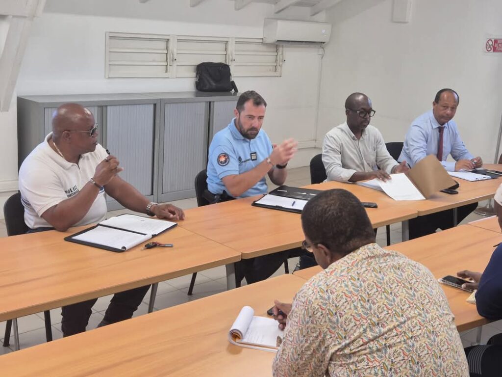 LOCAL COUNCIL FOR SECURITY AND CRIME PREVENTION SAINT MARTIN ST MARTIN