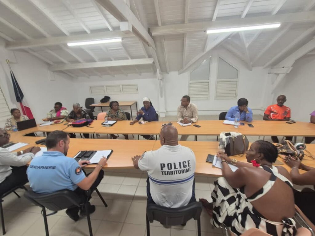 LOCAL COUNCIL FOR SECURITY AND CRIME PREVENTION SAINT MARTIN ST MARTIN