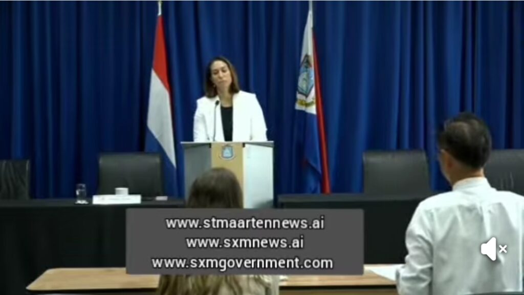 License Plate Visibility and Hit-and-Run Incidents: Minister Tackling Responds